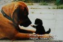 Фотография Арцах Эльмиры