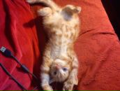 Danika Danja фотография #14 (источник - https://vk.com/id173994)