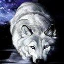 Міша Теслик фотография #15 (источник - https://vk.com/id153385570)