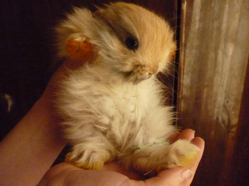 Ленчик Стрельникова фотография #20