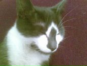 Дмитрий Федотов фотография #2 (источник - https://vk.com/id1003887)