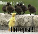 Юліан Глодов'юк фотография #12 (источник - https://vk.com/id137315958)