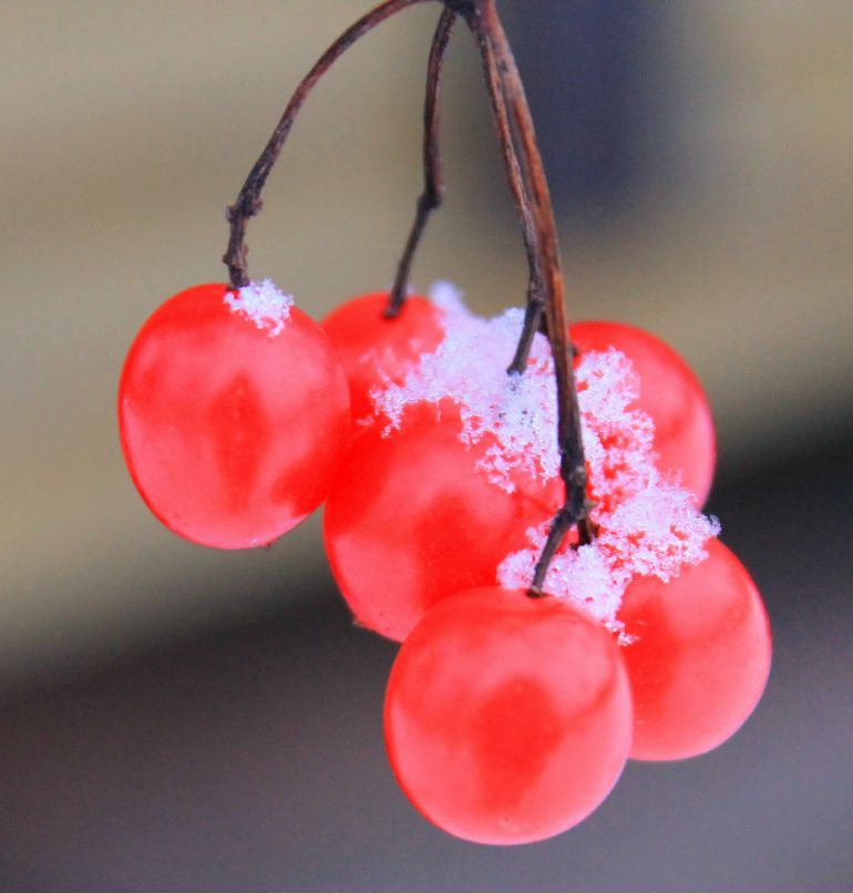 Дарья Базанова фотография #23