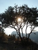 Deleted Deleted фотография #38 (источник - https://vk.com/id864728)