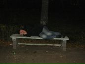 Фотография Балашова Серёги