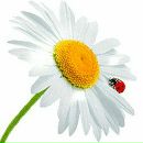 Фотография Зубцовой Елены