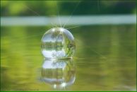 Фотография Гареева Камиля