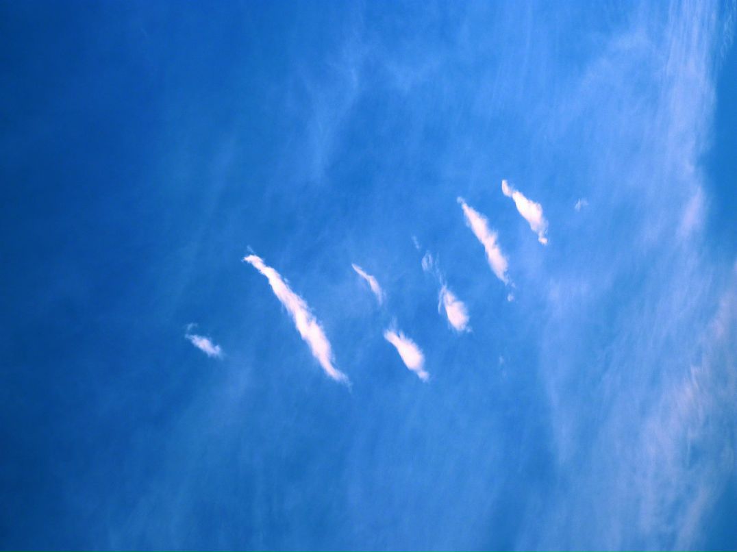 Андрей Астапенко фотография #47