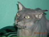 Фотография Лукиной Ирины