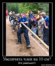 Дмитрий Астафьев фотография #43 (источник - https://vk.com/id1955157)