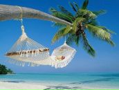 Фотография Булгаковой Елены