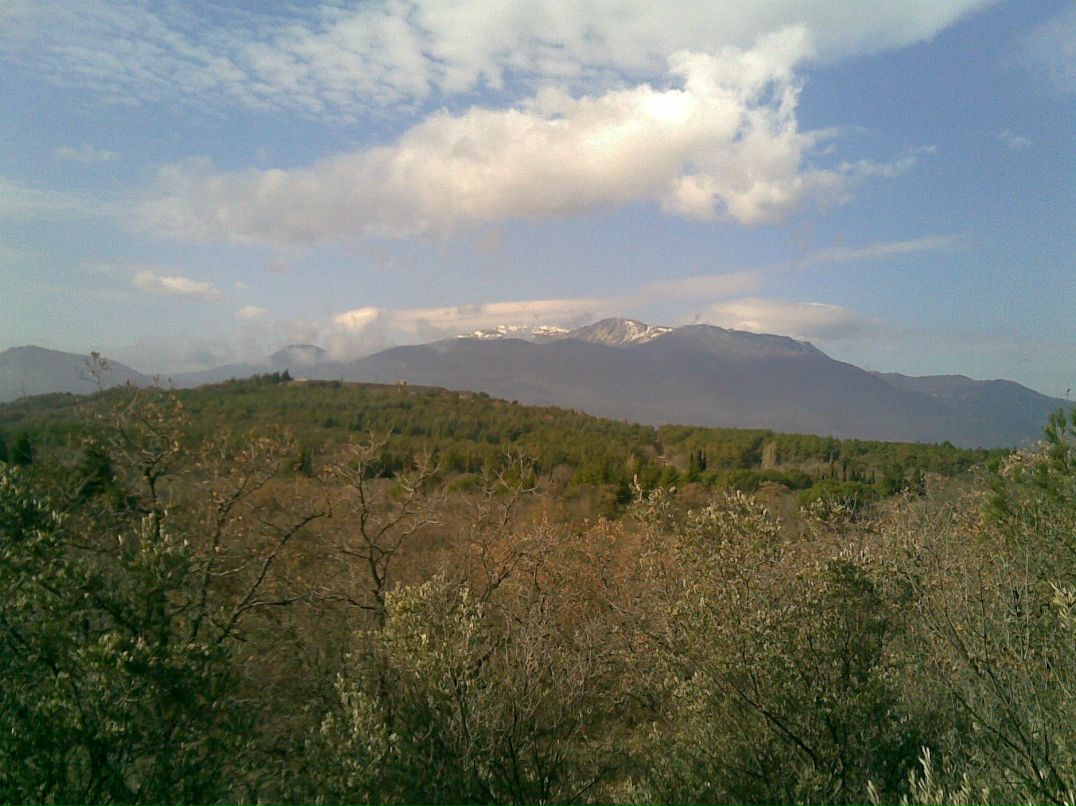 Антон Бывшев фотография #43