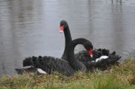 Фотография Павловой Эльвиры