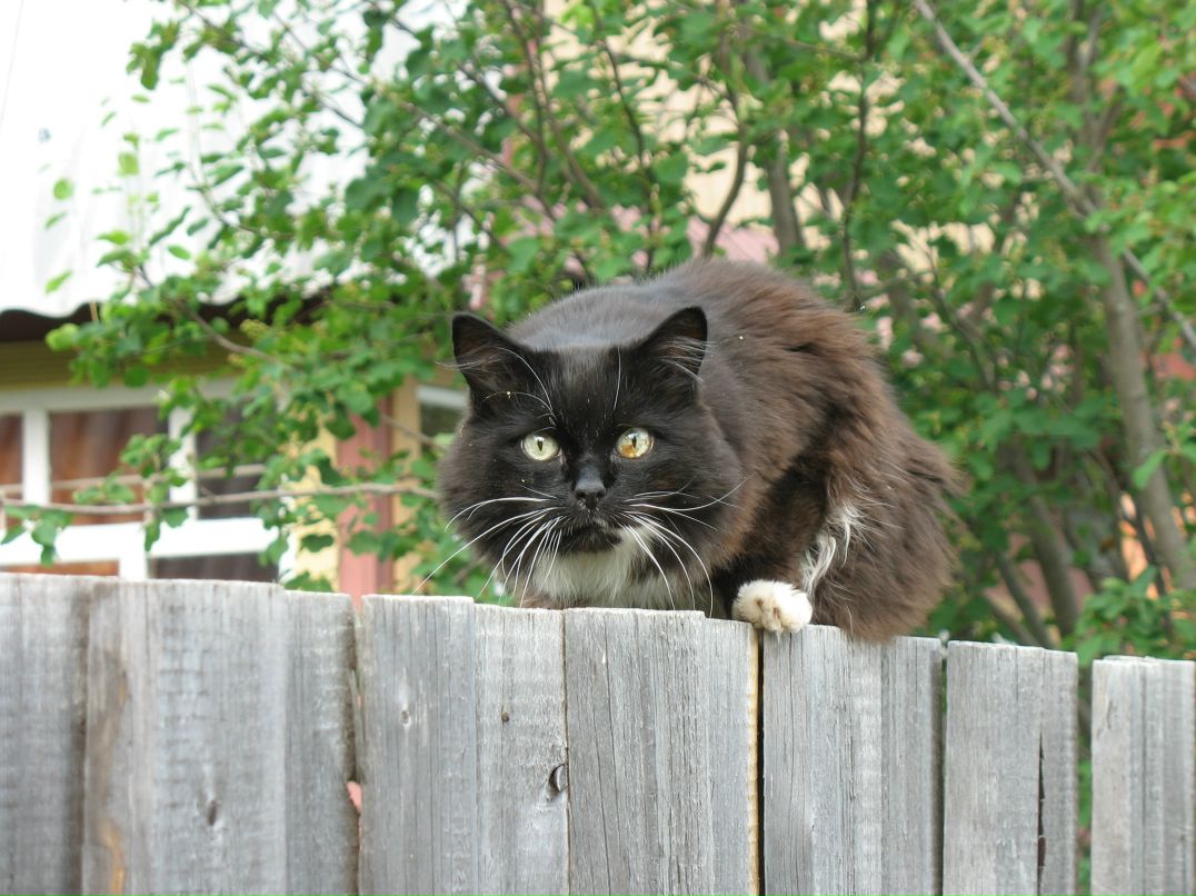 Константин Костин фотография #19