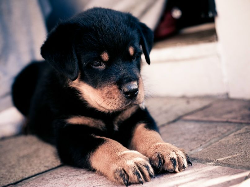 Сашка )) фотография #11