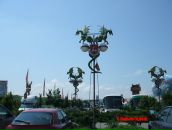 Фотография Ильиной Ольги