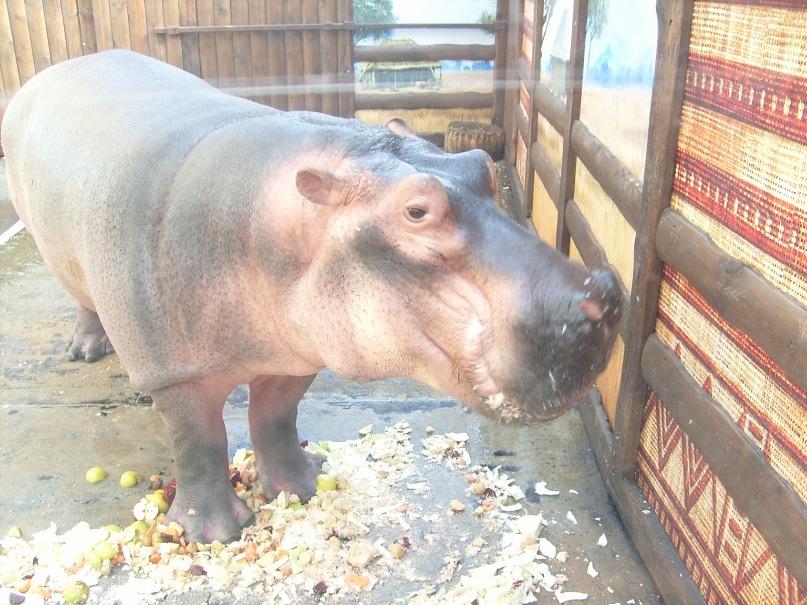 Дмитрий Белый фотография #48