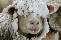 Фотография Гарифулиной Юлии