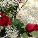 Лілія Левко фотография #50 (источник - https://vk.com/id144368814)