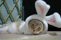 Фотография Поповой Анны