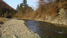 Dmitriy Galich фотография #49 (источник - https://vk.com/id2574196)