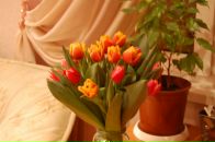 Фотография Волковой Натальи