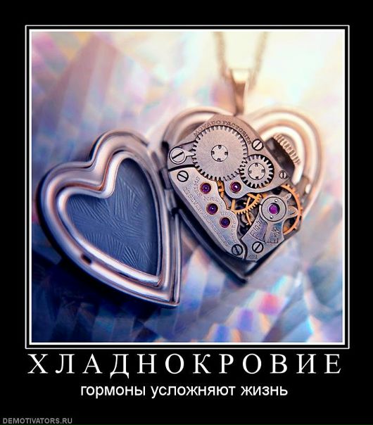 Александр Пенчук фото №24