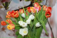 Фотография Евгеньевой Светланы