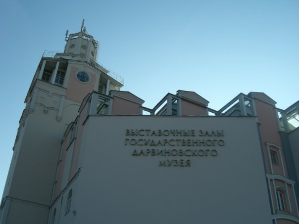  фото №43