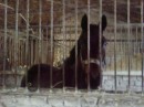 Фотография Белокуровой Юлии