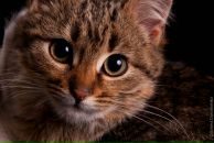 Фотография Рассказовой Галины