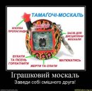 Міша Гузовський фотография #28 (источник - https://vk.com/id21884739)