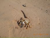 Дмитрий Пилипенко фотография #1