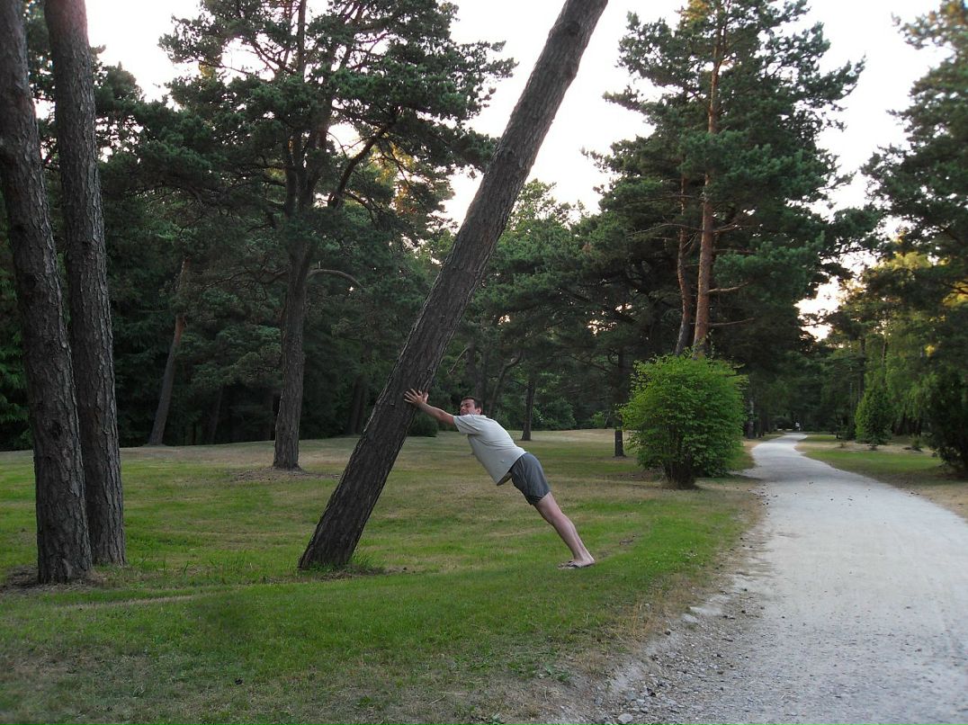 Дмитрий Козел фотография #33