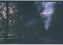 Руна Лев фотография #7 (источник - https://vk.com/id3108583)