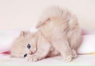 Фотография Кирилиной Любови