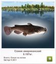 Віктор Пилипчук фотография #34 (источник - https://vk.com/id79909686)