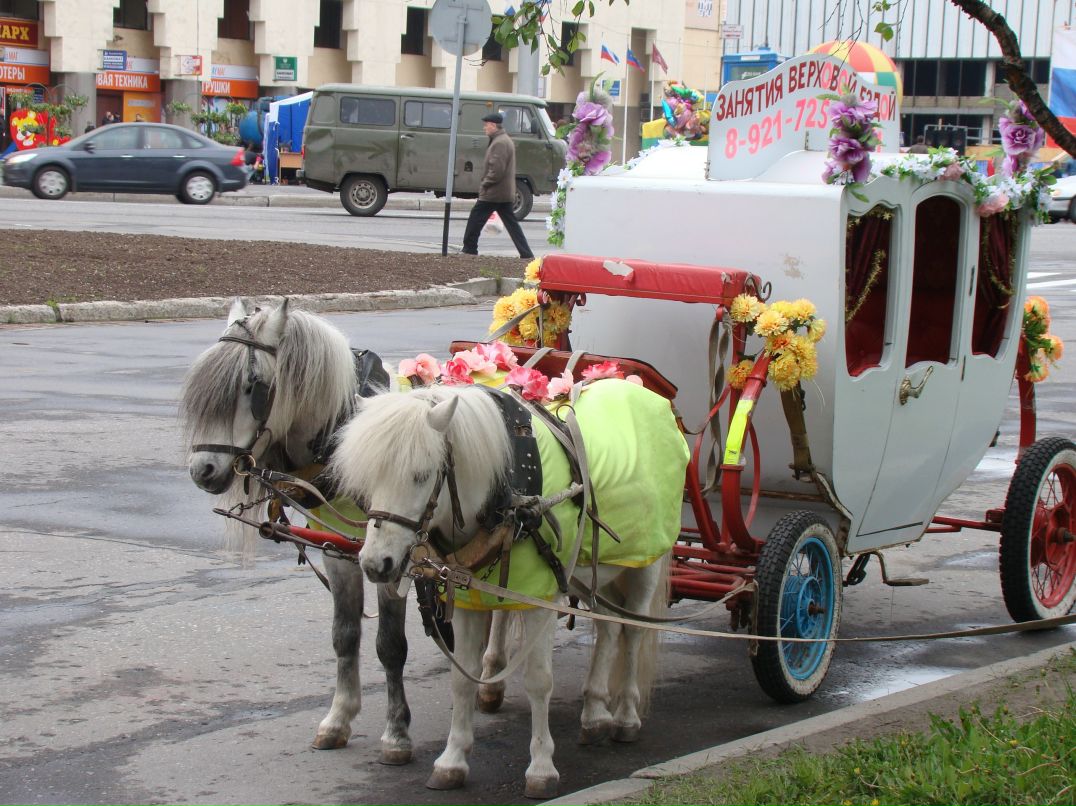 Сергей Балдин фотография #23