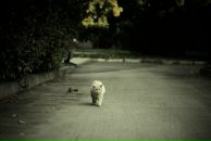 Фотография Уварова Татьяна