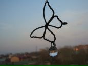 Фотография Головизниной Анны