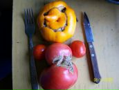 Фотография Еллиева Евгения