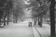 Алексей Куликов фотография #17 (источник - https://vk.com/id192201)