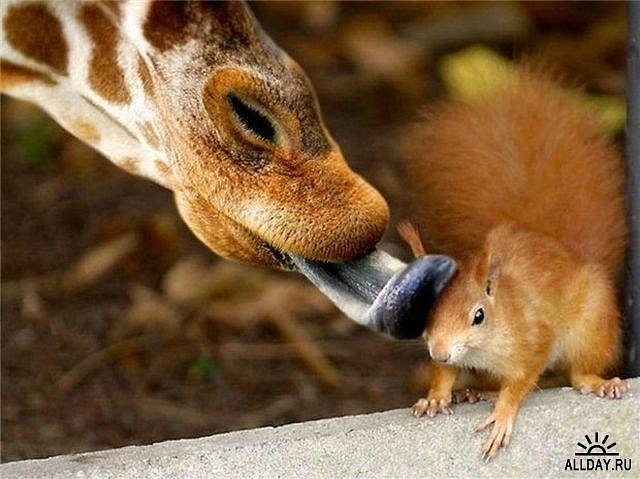 Оля Степанова фотография #15