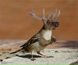 Фотография Одинцова Дмитрия