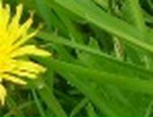 Максим Лісовський фотография #35 (источник - https://vk.com/id92939231)