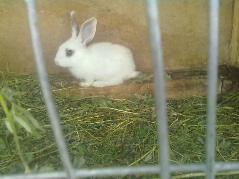 Иван Иванов фотография #8