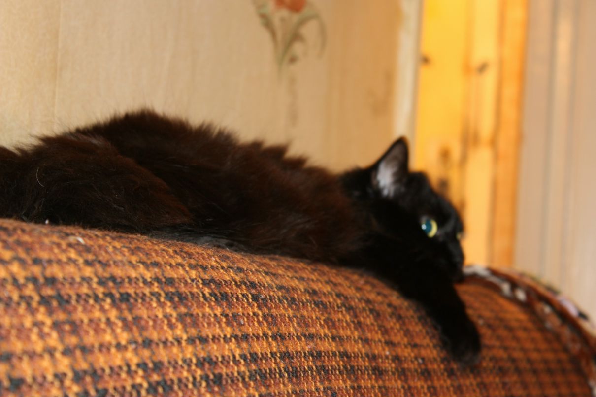 Сергей Сергеев фотография #16