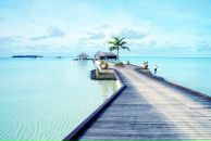 Never Wait фотография #22 (источник - https://vk.com/id1634148)