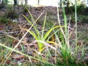 Фотография Реута Вячеслава