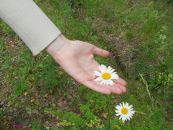 Фотография Глушковой Ирiславы